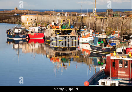 Soleil du soir sur les bateaux de pêche dans le port de Seahouses, Northumberland, England Banque D'Images