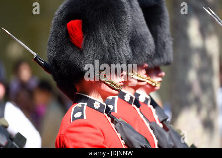 Coldstream Guards soldats marchant en ligne pendant Trooping the Colour 2017 dans le Mall, Londres, Royaume-Uni Banque D'Images