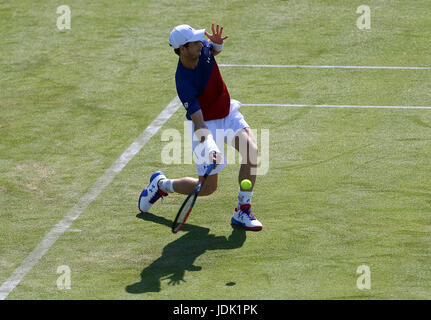La société britannique Andy Murray lors de son match contre l'Australie Jordanie Thompson au cours de la deuxième journée de l'AEGON Championships 2017 au Queen's Club de Londres. Banque D'Images