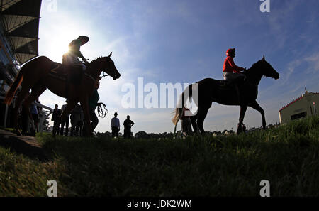 Chevaux d'aller à la poste avant le château de Windsor Stakes au cours de la première journée de Royal Ascot à Ascot Racecourse. Banque D'Images