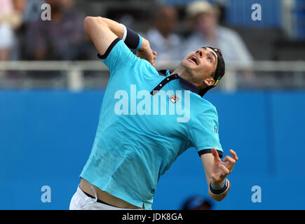 Au cours du deuxième jour des Championnats AEGON 2017 au Queen's Club de Londres. APPUYEZ SUR ASSOCIATION photo. Date de la photo: Mardi 20 juin 2017. Voir PA Story TENNIS Queens. Le crédit photo devrait se lire: Steven Paston/PA Wire. Banque D'Images