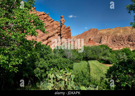 Les doigts de singe, spectaculaire red rock formation calcaire, paysage près de Aci Ouglif et Gorges de Dades, Maroc, Afrique Banque D'Images