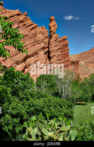 Les doigts de singe, spectaculaire red rock formation calcaire, paysage près de Aci Ouglif et Gorges de Dades, Maroc, Afrique Banque D'Images