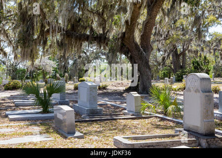 Cimetière Bonaventure historique à Savannah, GA. Pierre tombale juive avec étoile de David importante dans l'avant-plan. Grand chêne avec de l'espagnol Banque D'Images