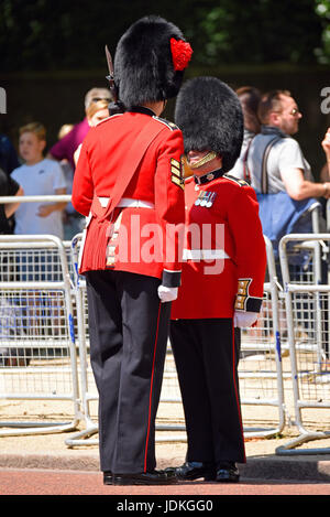 Un officier vérifiant un gardien de rue à Trooping the Colour 2017 dans le Mall, Londres. Différence de hauteur. Grand officier Banque D'Images