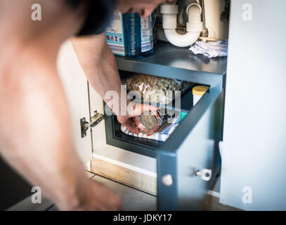 Nieder-Roden, Allemagne. 29 mai, 2017. Frank-Josef Ackerman prend une partie de sa récolte de cannabis d'un coffre-fort dans sa maison à Nieder-Roden, Allemagne, 29 mai 2017. Il cultive ses propres plants de cannabis dans une penderie dans sa maison. Le patient de la douleur est l'un des rares autorisé à cultiver du cannabis, même si seulement pour la consommation personnelle. La Cour constitutionnelle fédérale a décidé que le cannabis cultivé par l'auto-thérapie pour malades dans leurs propres maisons ne doivent pas être confisqués par la police tant qu'ils remplissent certaines conditions préalables. Photo : Frank Rumpenhorst/dpa/Alamy Live News Banque D'Images