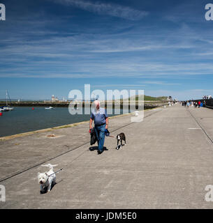 Howth, Irlande. 21 Juin, 2017. Un homme promène son chien sur une chaude journée d'été le long de la jetée de Howth dans le comté de Dublin, Irlande Crédit : Darren McLoughlin/Alamy Live News Banque D'Images