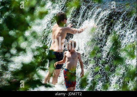 Baignoire, Claverton, Weier Warleigh. Jun 21, 2017. Météo britannique. Vague de chaleur en juin la plus chaude apporte depuis 40 ans, les gens affluent à Warleigh Weier pour vous rafraîchir. Un déversoir de 100 m de long dans un magnifique vallée de l'Avon. Pré, vieux ferry crossing étapes, s'étend de l'eau profond long. C'était une ambiance de fête à la place Credit : Chandra Prasad/Alamy Live News Banque D'Images