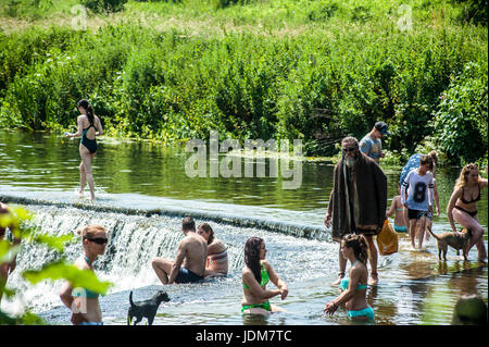 Baignoire, Claverton, Weier Warleigh. Jun 21, 2017. Météo britannique. Vague de chaleur en juin la plus chaude apporte depuis 40 ans, les gens affluent à Warleigh Weier pour vous rafraîchir. Un déversoir de 100 m de long dans un magnifique vallée de l'Avon. Pré, vieux ferry crossing étapes, s'étend de l'eau profond long. C'était une ambiance de fête à la place Credit : Chandra Prasad/Alamy Live News Banque D'Images