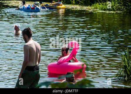 Baignoire, Claverton, Weier Warleigh. Jun 21, 2017. Météo britannique. Vague de chaleur en juin la plus chaude apporte depuis 40 ans, les gens affluent à Warleigh Weier pour vous rafraîchir. Un déversoir de 100 m de long dans un magnifique vallée de l'Avon. Pré, vieux ferry crossing étapes, s'étend de l'eau profond long. C'était une ambiance de fête à la place Credit : Chandra Prasad/Alamy Live News Banque D'Images