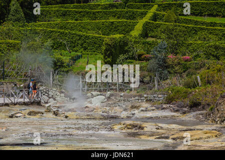 Les sources chaudes et les fumerolles au lac lagoa das furnas sur l'île de São Miguel, Açores Banque D'Images