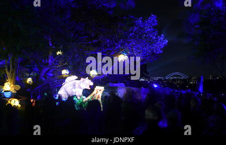 Sydney, Australie - Jun 16, 2017. Diable de Tasmanie. Multimédia géant sculptures lumineuses dans les magnifiques motifs de Taronga Zoo au cours des feux de Sydney Banque D'Images