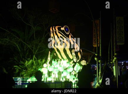 Sydney, Australie - Jun 16, 2017. Corroboree Frog. Multimédia géant sculptures lumineuses dans les magnifiques motifs de Taronga Zoo au cours des feux de Sydney Banque D'Images