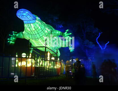 Sydney, Australie - Jun 16, 2017. Platypus. Multimédia géant sculptures lumineuses dans le magnifique parc de Zoo de Taronga Sydney Vivid pendant Lights Festiv Banque D'Images