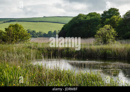 Lieu non identifié, près de Torcross, Devon Banque D'Images