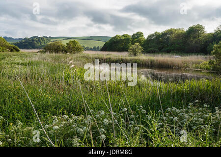 Lieu non identifié, près de Torcross, Devon Banque D'Images