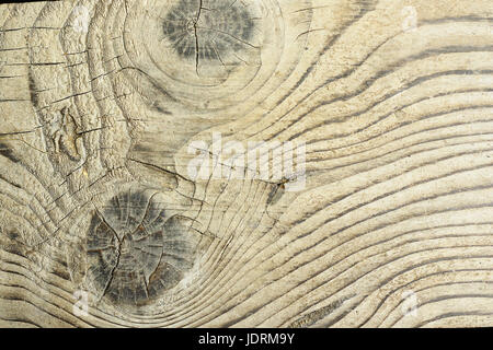 Surface détaillée des planches de sapin Abies alba ( ), la texture en bois naturel avec noeuds Banque D'Images