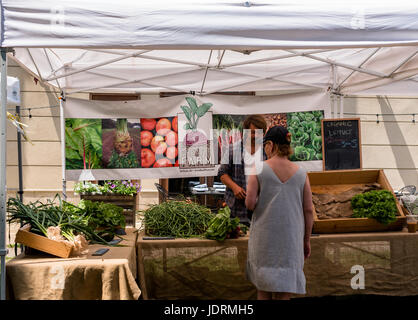 Asbury Park, NJ USA -- 18 juin 2017 un homme aide une femme shopper à un marché de fermiers produce stand à Asbury Park, New Jersey. usage éditorial seulement Banque D'Images