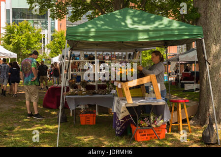 Asbury Park, NJ USA -- 18 juin 2017 une femme organiser fleurs à vendre à un marché de fermiers stand à Asbury Park, New Jersey. usage éditorial seulement Banque D'Images