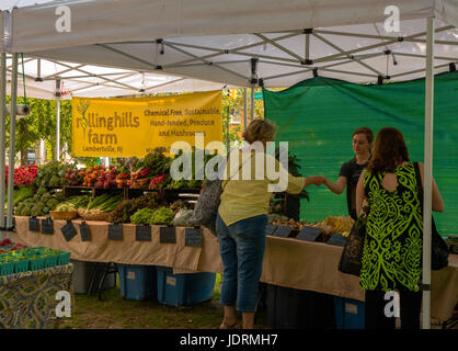 Asbury Park, NJ USA -- 18 juin 2017 Femme de payer pour produire à un marché de producteurs à Asbury Park, Editorial Utilisez uniquement Banque D'Images