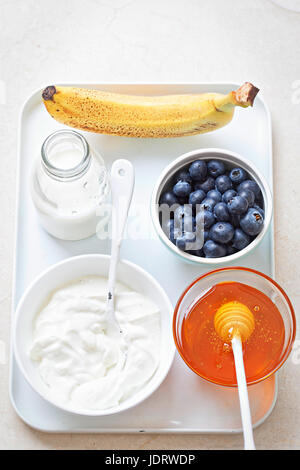 Blueberry, yaourt au miel - Smoothie, Ice cream ingredients Banque D'Images