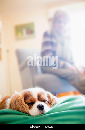 Dormir avec un chien senior woman in background Banque D'Images