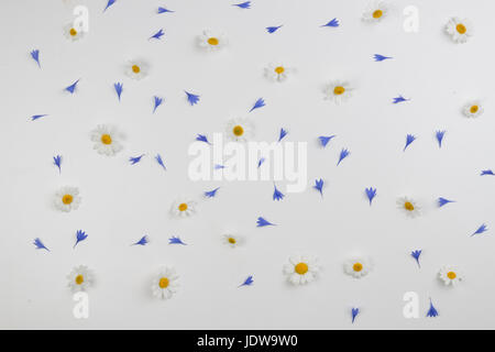 Pétales de bleuet et fleurs Daisy motif sur fond blanc. Mise à plat, vue du dessus Banque D'Images