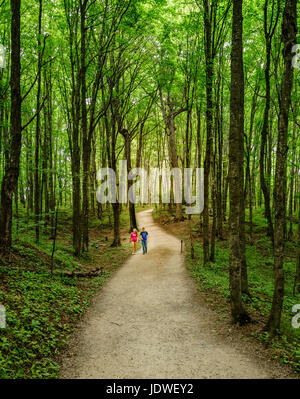 Pictured Rocks National Lakeshore, Michigan, le 10 août 2016 : marche sur un sentier aux mineurs Falls - une destination touristique populaire dans le haut Banque D'Images