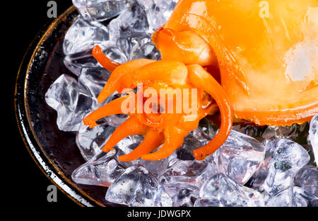 Libre de tentacules de poulpes cuits sur la glace.. Banque D'Images