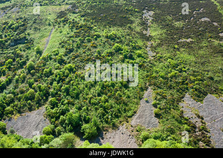 Eboulis sur la colline de la bouche de Heddon Cleave dans Exmoor National Park, North Devon, Angleterre. Banque D'Images