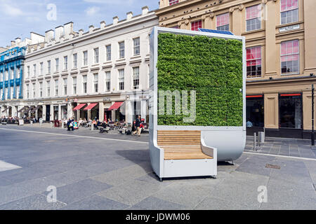 Arbre généalogique par ville par ville verte installée à l'angle de Solutions Exchange Square et Queen Street dans le centre de Glasgow Ecosse UK pour réduire les polluants Banque D'Images