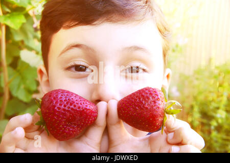 Cute boy child holding a fraises.Cute boy enfant manger sain Aliments biologiques, les baies fraîches. Banque D'Images