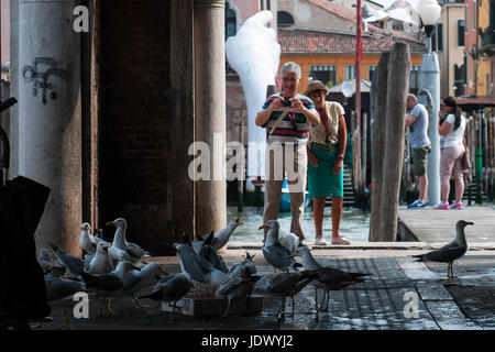 Venise - 12 juin, 2017. Les touristes prendre des photos des mouettes de manger du poisson au marché aux poissons du Rialto à Venise, Italie. Banque D'Images