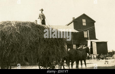 Meubles anciens c1922 photo, agriculteur sur une charrette de foin à chevaux. Emplacement est probablement Mankato, Minnesota. SOURCE : photographie originale. Banque D'Images