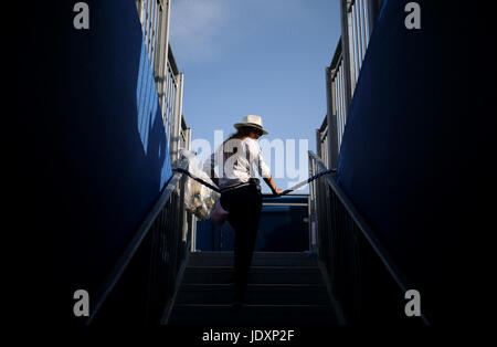 Vue générale d'un steward pendant le troisième jour des Championnats AEGON 2017 au Queen's Club, Londres. APPUYEZ SUR ASSOCIATION photo. Date de la photo: Mercredi 21 juin 2017. Voir PA Story TENNIS Queens. Le crédit photo devrait se lire: Steven Paston/PA Wire. . Banque D'Images