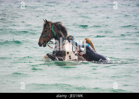 Rock long, près de Marazion, Cornwall, UK. 21 Juin, 2017. L'une des piscine de Cornwall de chevaux, avec son maître, Shelley, de vous rafraîchir dans la mer près de Marazion aujourd'hui. Crédit : Simon Maycock/Alamy Live News Banque D'Images