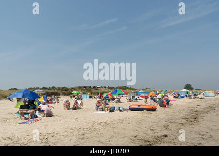 Studland Beach, péninsule de Purbeck, Dorset, UK, 21 juin 2017. Sur ce qui pourrait être le dernier jour de la vague de chaleur actuelle, c'est une chaude journée ensoleillée sur la belle étendue de sable de la côte sud populaire avec les vacanciers et les excursionnistes. Une brise de mer animé les températures à 24 degrés, quelques degrés de moins que le record la température enregistrée à l'intérieur des terres. Baigneurs à profiter du soleil et de la chaleur. Banque D'Images