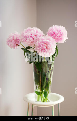 Bouquet de pivoines rose dans un vase de verre transparent Banque D'Images