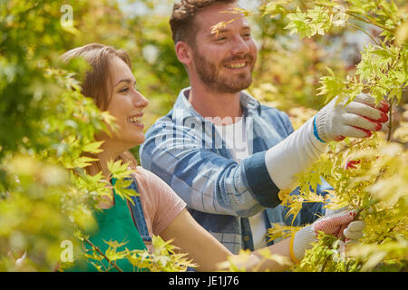 Jardiniers professionnels masculins et féminins et de couper les branches et les feuilles des plantes dans le jardin ensemble. Banque D'Images