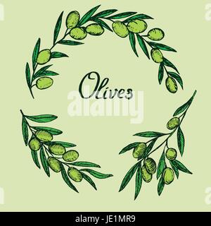 Branches d'oliviers du jeu de couleurs, de design avec inscription, woodcut style design, hand drawn doodle, sketch dans un style pop art, illustration vectorielles Illustration de Vecteur
