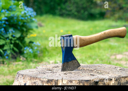 La poussée d'une hache dans un moignon et un peu de bois de chauffage autour de Banque D'Images