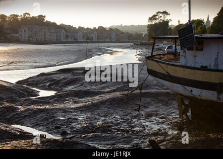 Par Guy Pic Newman. 18.07.2013. Soirée coucher de soleil sur la rivière Truro de Malpas Road, Truro, Cornwall. Banque D'Images