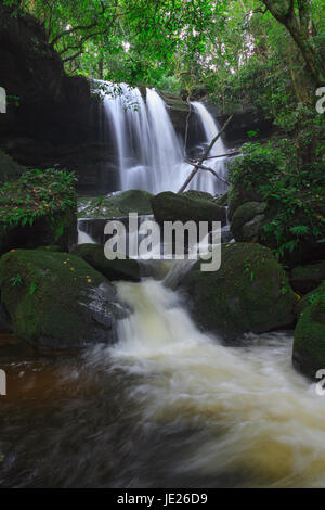 Forêt profonde cascade à Phu Hin Rong Kla Parc National en Thaïlande Banque D'Images