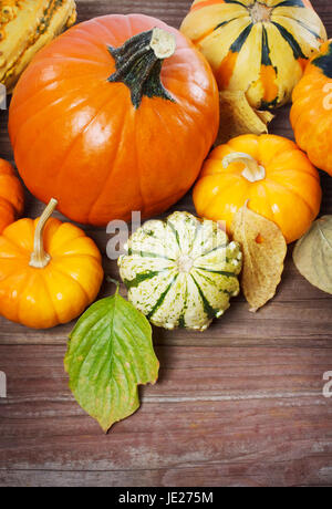 Assortiment de citrouilles, courges et feuilles d'automne sur les planches de bois rustique Banque D'Images