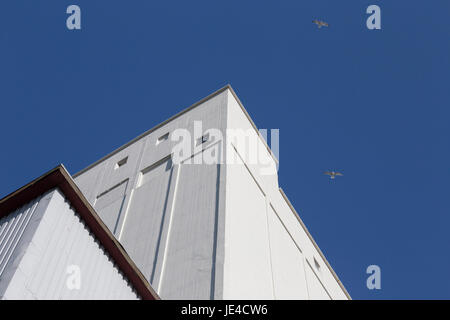 Zwei Möwen vor einem Getreidespeicher segeln fjerritslev Banque D'Images