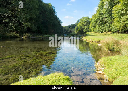 La rivière Lathkill coule lentement au cours des déversoirs à plus de Haddon. Banque D'Images