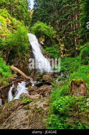 Cascade dans Vermiglio, Val di Sole, Trentin, Italie Banque D'Images