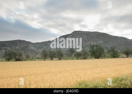 Belle Vallée de Alhama, La région viticole de Rioja, Espagne. Banque D'Images