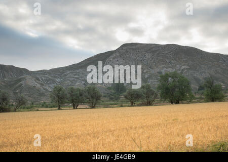 Belle Vallée de Alhama, La région viticole de Rioja, Espagne. Banque D'Images