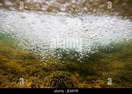 Bulles et mousse d'eau à l'intérieur des cascades de la rivière Mrežnica, Croatie Banque D'Images